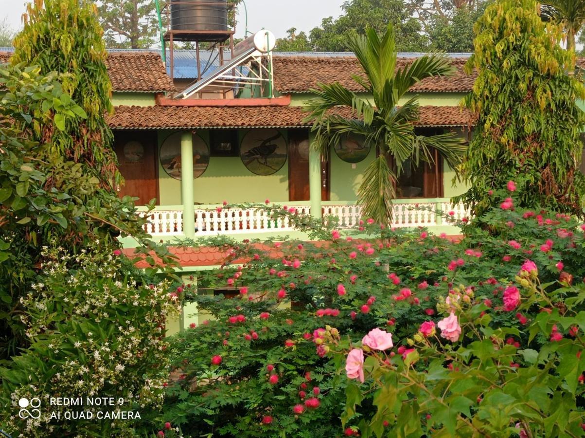Hotel Rhino Land Sauraha Esterno foto