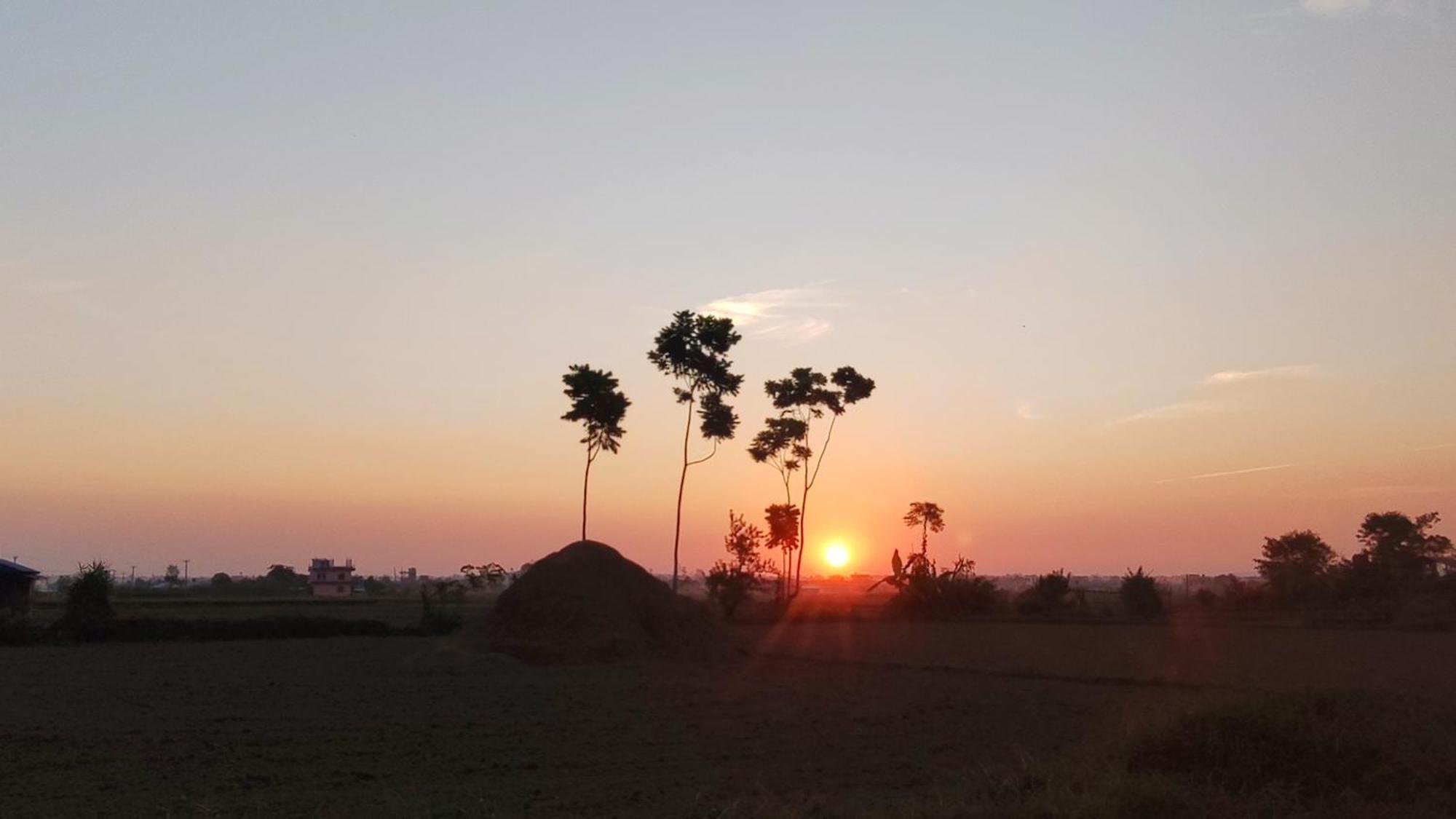 Hotel Rhino Land Sauraha Esterno foto