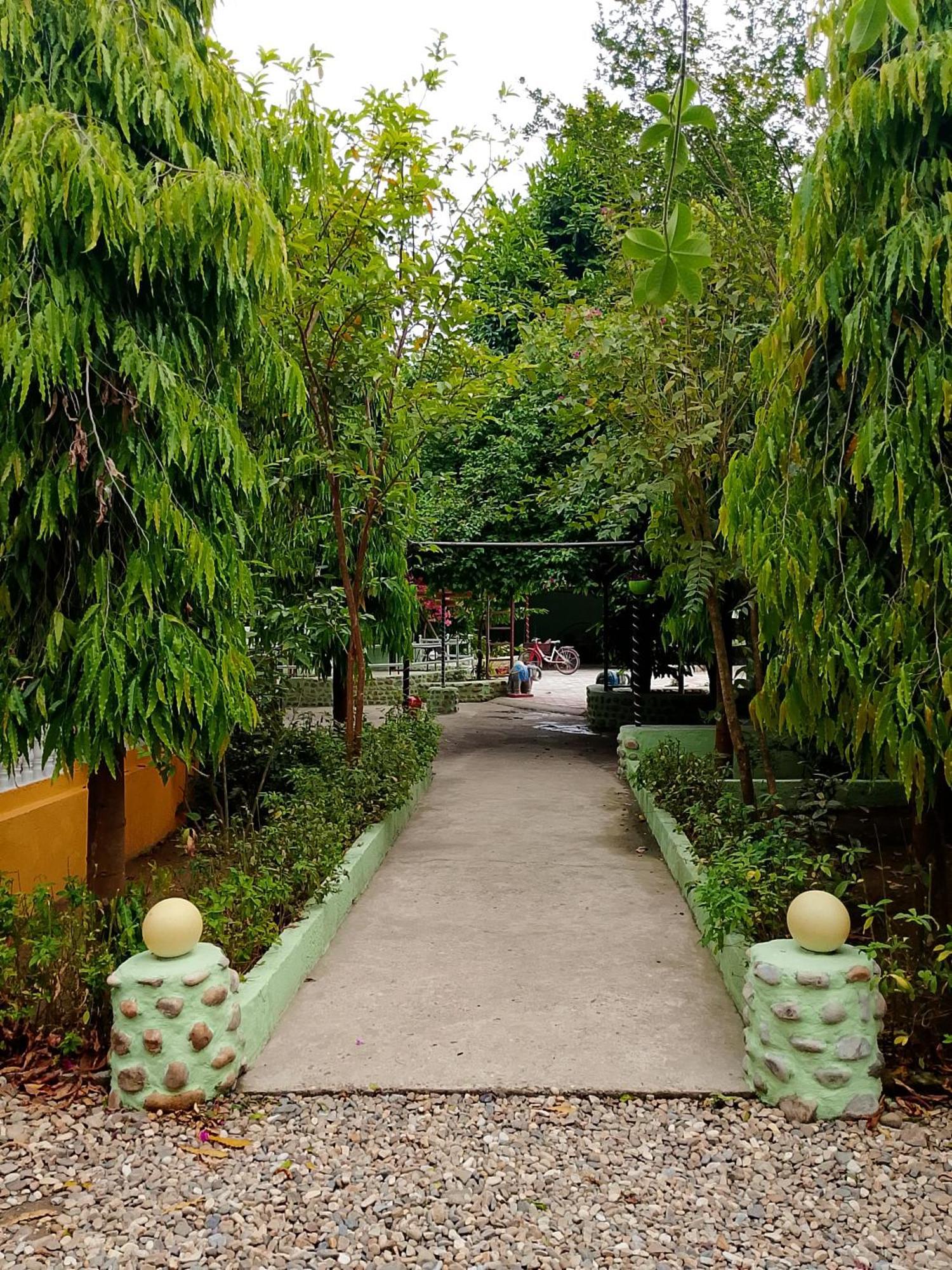 Hotel Rhino Land Sauraha Esterno foto