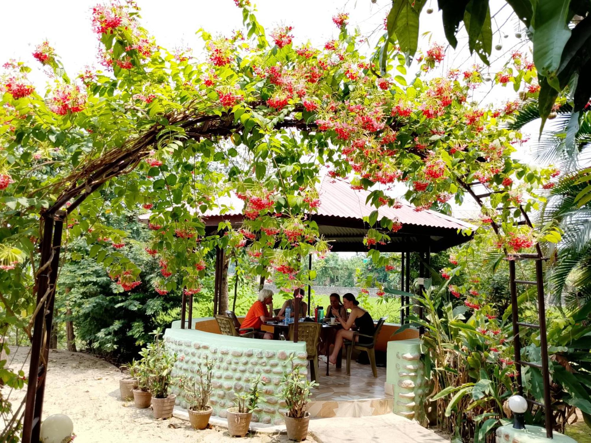Hotel Rhino Land Sauraha Esterno foto